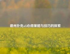 德州扑克nl5心得策略与技巧的探索