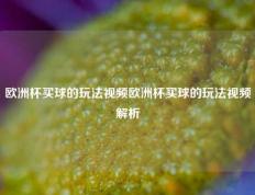 欧洲杯买球的玩法视频欧洲杯买球的玩法视频解析