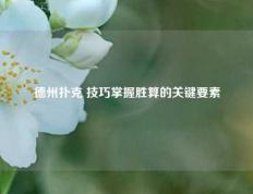 德州扑克 技巧掌握胜算的关键要素