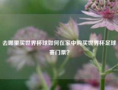去哪里买世界杯球如何在家中购买世界杯足球赛门票？