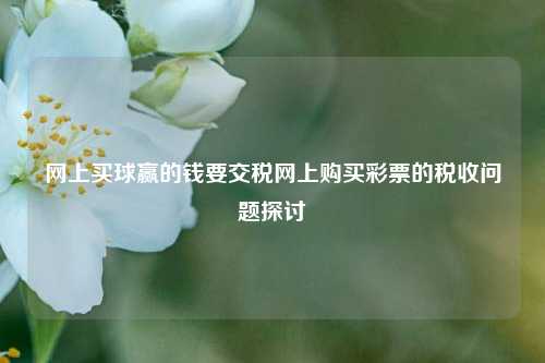 网上买球赢的钱要交税网上购买彩票的税收问题探讨