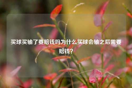 买球买输了要赔钱吗为什么买球会输之后需要赔钱？