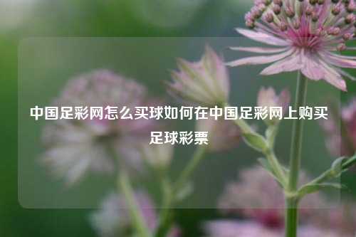 中国足彩网怎么买球如何在中国足彩网上购买足球彩票