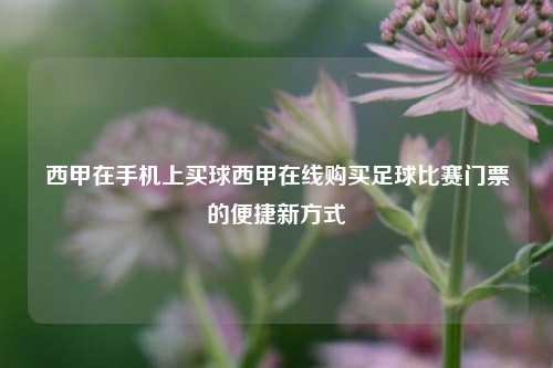 西甲在手机上买球西甲在线购买足球比赛门票的便捷新方式