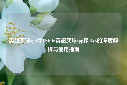 英超买球app禄45yb in英超买球app禄45yb的深度解析与使用指南