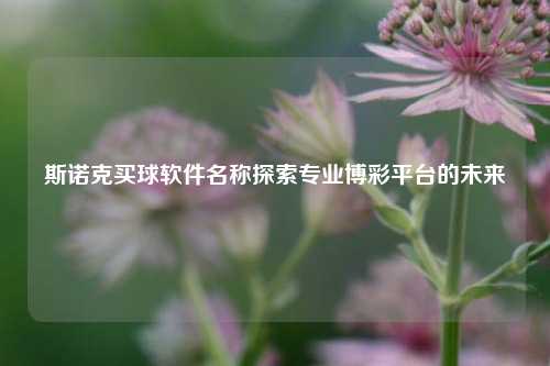 斯诺克买球软件名称探索专业博彩平台的未来