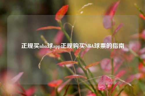 正规买nba球app正规购买NBA球票的指南