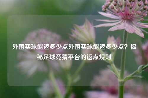 外围买球能返多少点外围买球能返多少点？揭秘足球竞猜平台的返点规则