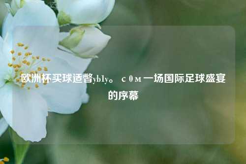 欧洲杯买球适瞥yb1y。с0м一场国际足球盛宴的序幕