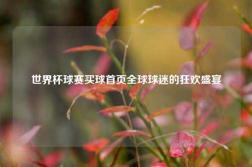 世界杯球赛买球首页全球球迷的狂欢盛宴