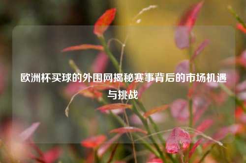 欧洲杯买球的外围网揭秘赛事背后的市场机遇与挑战