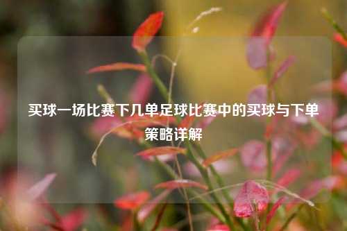 买球一场比赛下几单足球比赛中的买球与下单策略详解