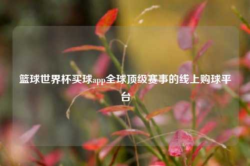 篮球世界杯买球app全球顶级赛事的线上购球平台