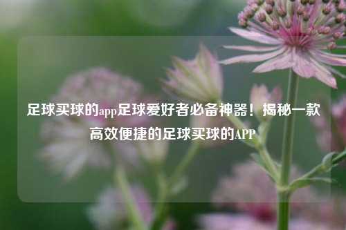 足球买球的app足球爱好者必备神器！揭秘一款高效便捷的足球买球的APP