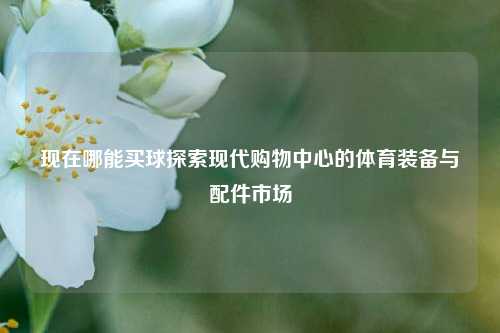 现在哪能买球探索现代购物中心的体育装备与配件市场