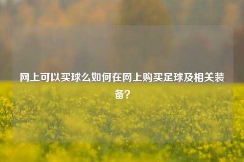 网上可以买球么如何在网上购买足球及相关装备？