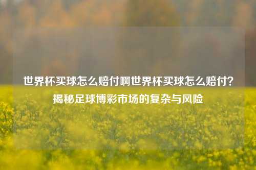 世界杯买球怎么赔付啊世界杯买球怎么赔付？揭秘足球博彩市场的复杂与风险