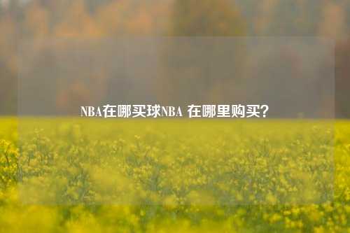 NBA在哪买球NBA 在哪里购买？