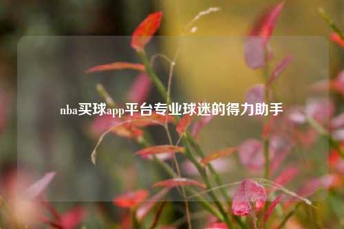 nba买球app平台专业球迷的得力助手