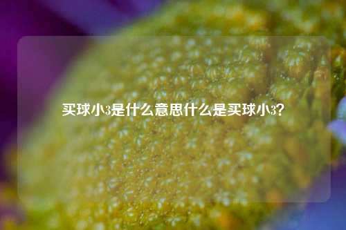 买球小3是什么意思什么是买球小3？