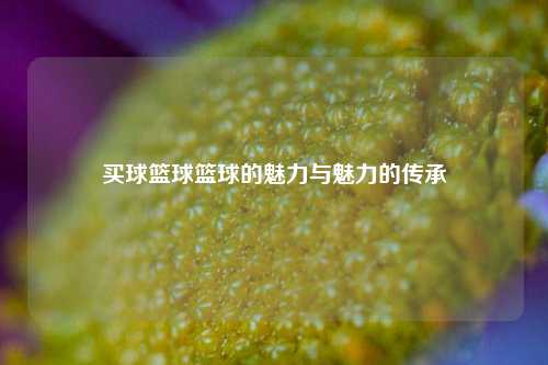 买球篮球篮球的魅力与魅力的传承