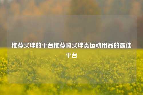 推荐买球的平台推荐购买球类运动用品的最佳平台