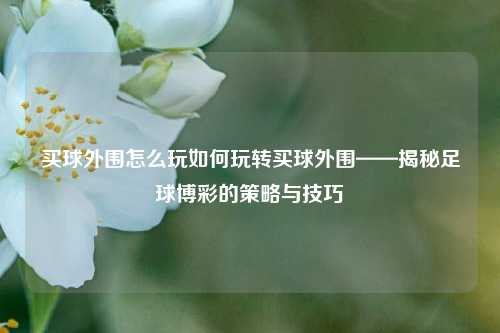 买球外围怎么玩如何玩转买球外围——揭秘足球博彩的策略与技巧