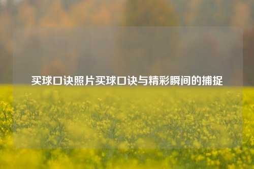 买球口诀照片买球口诀与精彩瞬间的捕捉