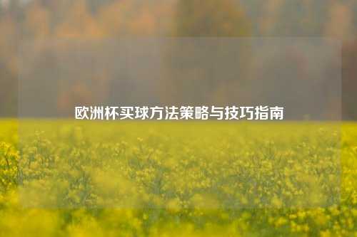 欧洲杯买球方法策略与技巧指南