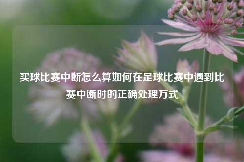 买球比赛中断怎么算如何在足球比赛中遇到比赛中断时的正确处理方式