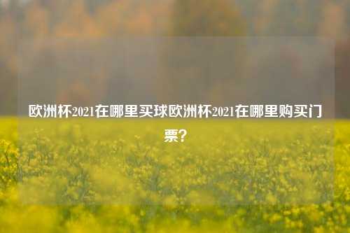 欧洲杯2021在哪里买球欧洲杯2021在哪里购买门票？
