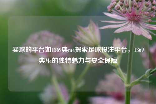 买球的平台如1369典me探索足球投注平台，1369典Me的独特魅力与安全保障