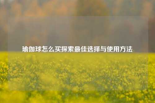 瑜伽球怎么买探索最佳选择与使用方法