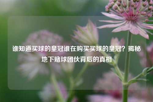 谁知道买球的皇冠谁在购买买球的皇冠？揭秘地下赌球团伙背后的真相