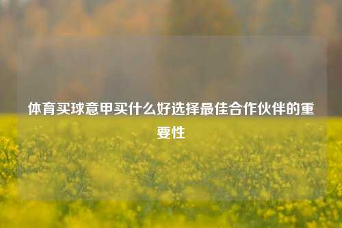 体育买球意甲买什么好选择最佳合作伙伴的重要性
