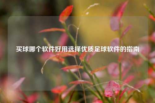 买球哪个软件好用选择优质足球软件的指南