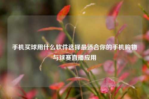 手机买球用什么软件选择最适合你的手机购物与球赛直播应用