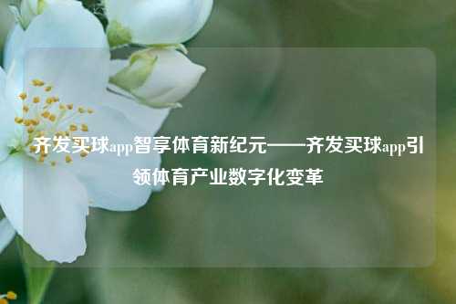 齐发买球app智享体育新纪元——齐发买球app引领体育产业数字化变革