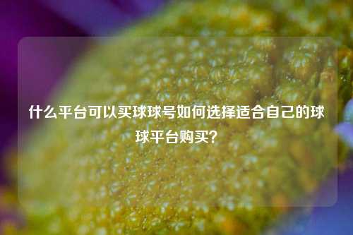 什么平台可以买球球号如何选择适合自己的球球平台购买？
