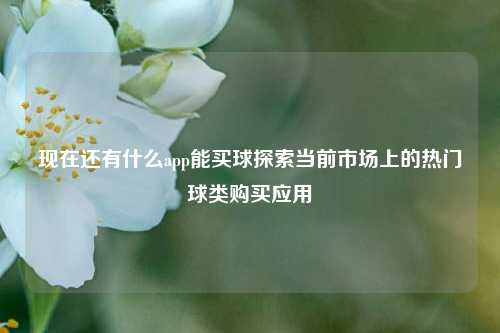 现在还有什么app能买球探索当前市场上的热门球类购买应用