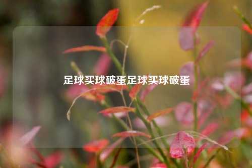 足球买球破蛋足球买球破蛋