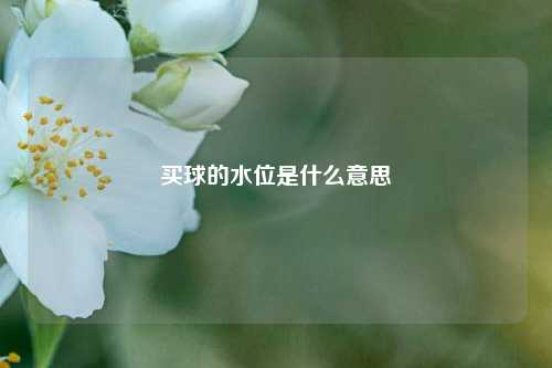买球的水位是什么意思