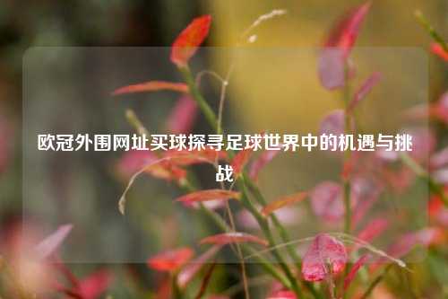 欧冠外围网址买球探寻足球世界中的机遇与挑战