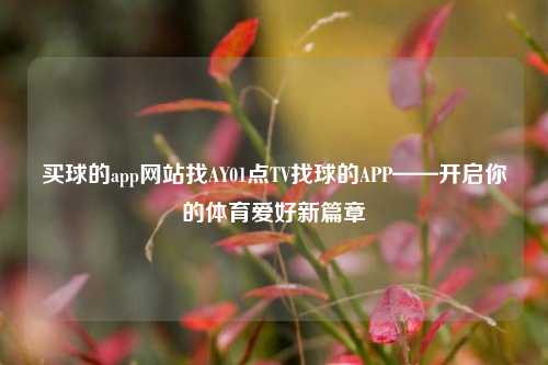 买球的app网站找AY01点TV找球的APP——开启你的体育爱好新篇章