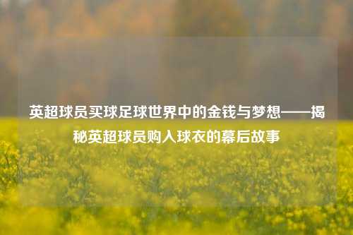 英超球员买球足球世界中的金钱与梦想——揭秘英超球员购入球衣的幕后故事