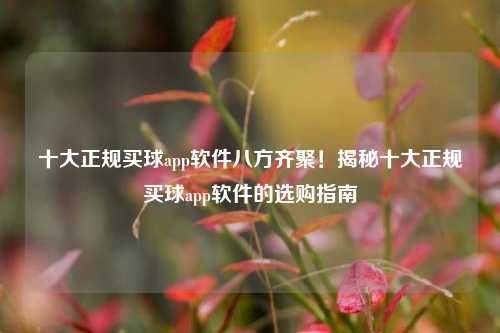 十大正规买球app软件八方齐聚！揭秘十大正规买球app软件的选购指南