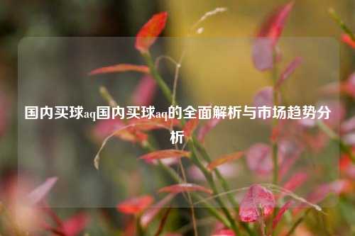 国内买球aq国内买球aq的全面解析与市场趋势分析