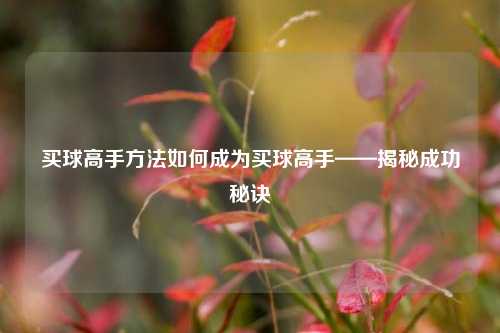买球高手方法如何成为买球高手——揭秘成功秘诀