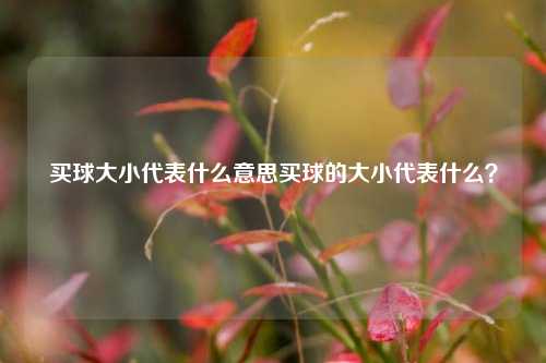 买球大小代表什么意思买球的大小代表什么？