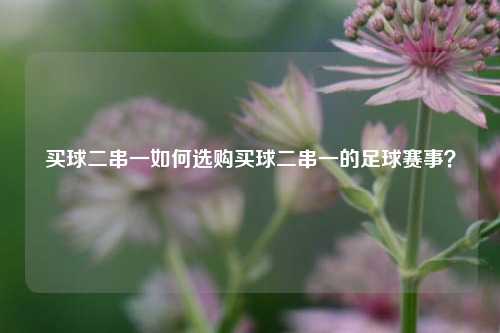 买球二串一如何选购买球二串一的足球赛事？